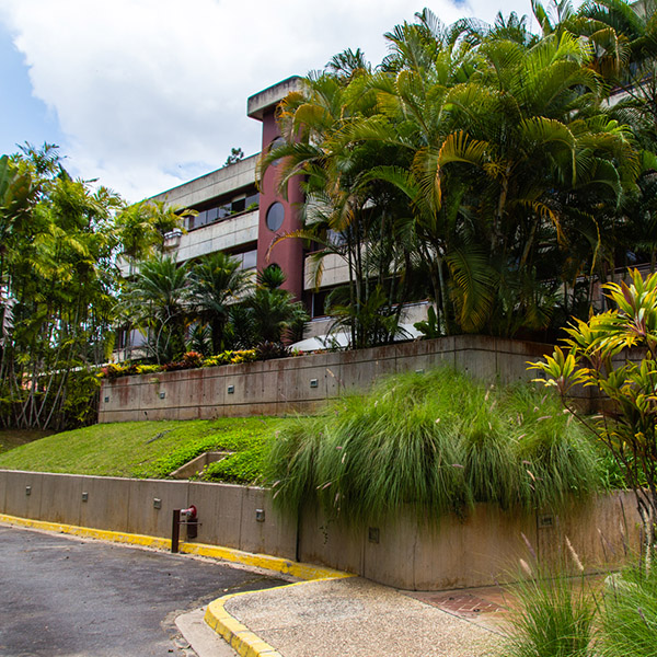 Conjunto Jardin de la Lagunita